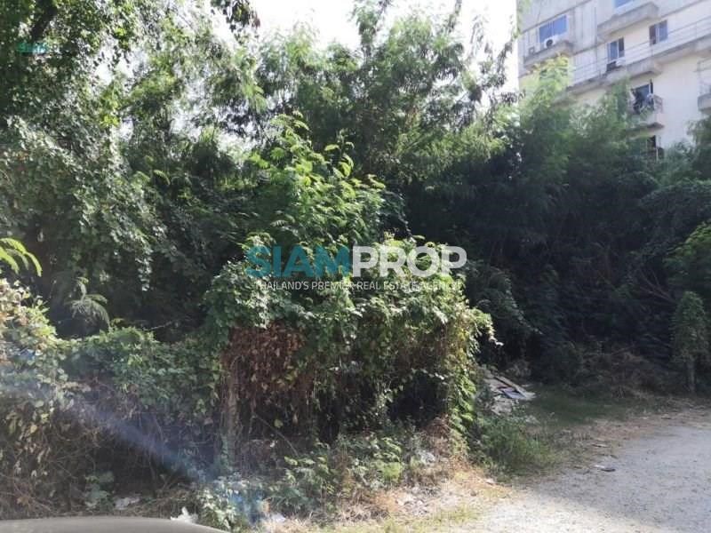 Land for sale in Sukhumvit 62, this price is still worth buying. Interested contact urgently !!! - Land -  - 